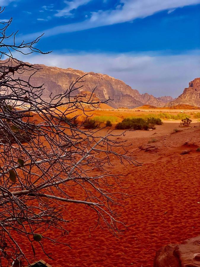 Sand And Stone Camp - Wadi Rum Desert Екстер'єр фото