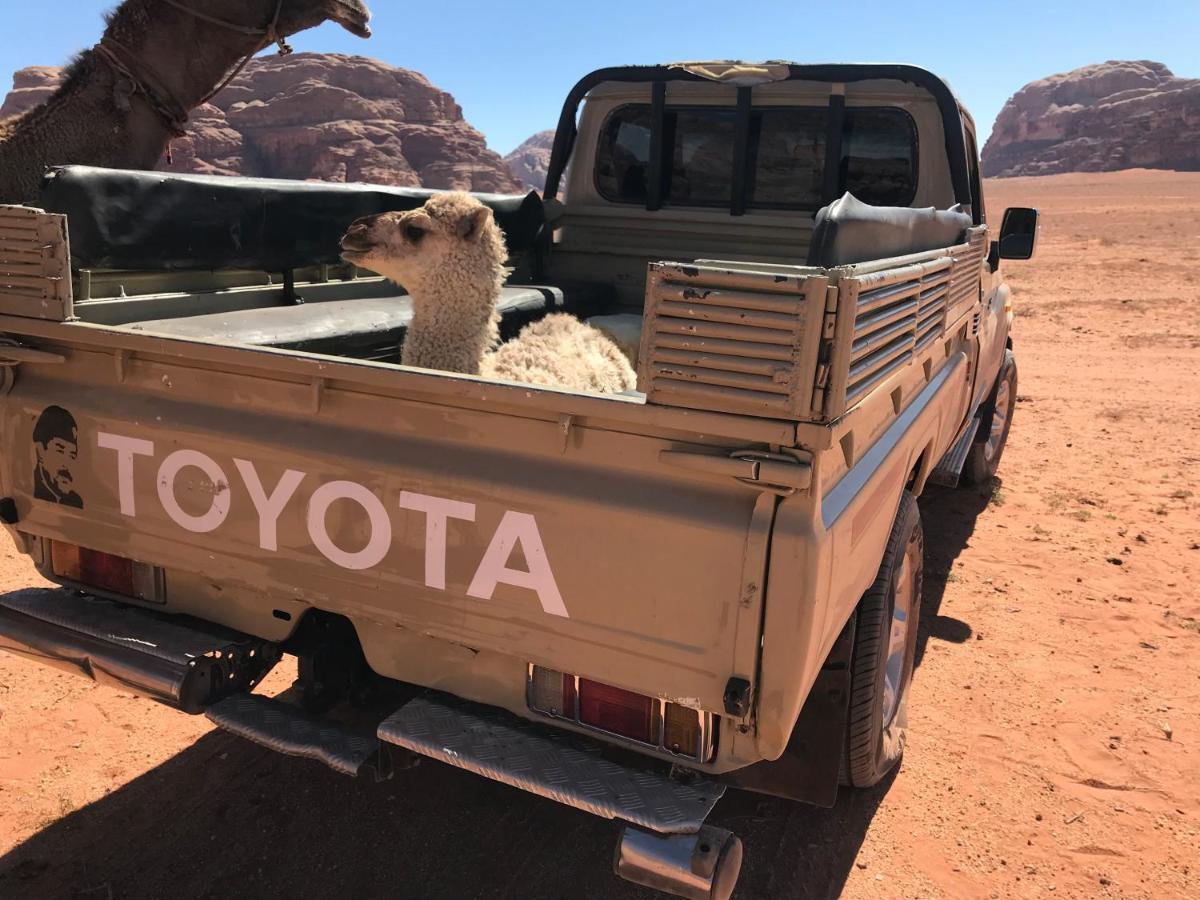 Sand And Stone Camp - Wadi Rum Desert Екстер'єр фото