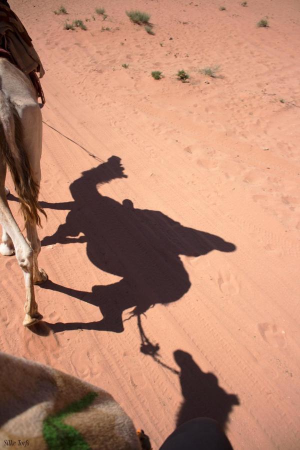 Sand And Stone Camp - Wadi Rum Desert Екстер'єр фото